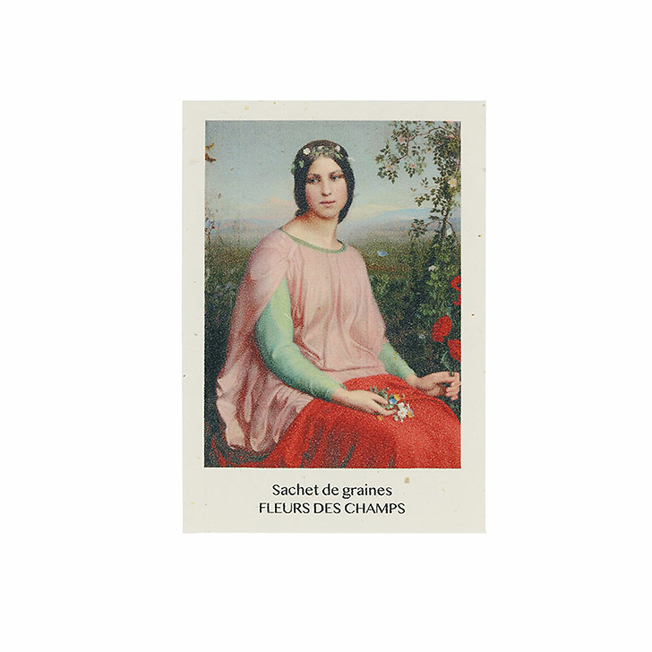Sachet de graines Fleurs des champs