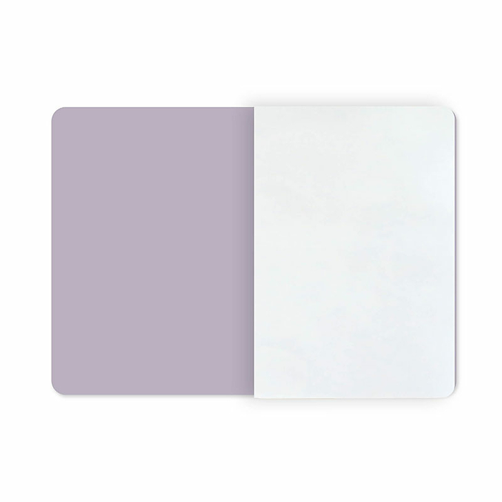 Cahier Victor Navlet - Vue générale de Paris, prise de l'Observatoire, en ballon, 1855