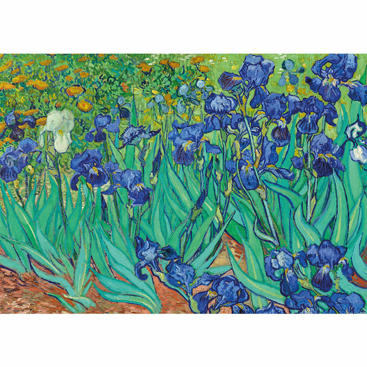 Les fleurs. L'essentiel