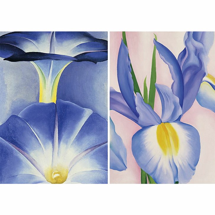 Les fleurs. L'essentiel