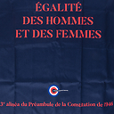 Apron Equality of the men and women - Constitutional Council