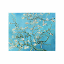 Microfiber Vincent van Gogh - Almond blossom - Van Gogh Museum Amsterdam®