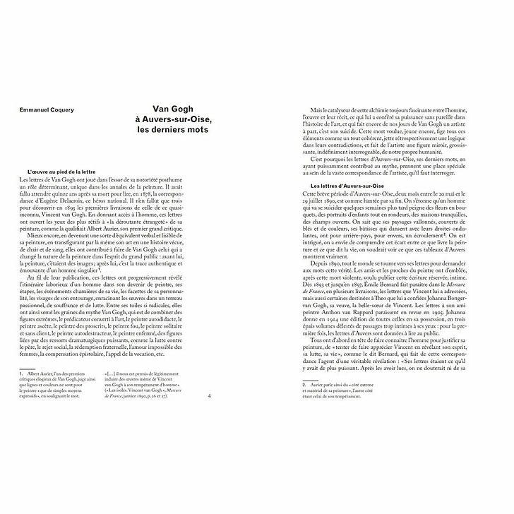 Vincent van Gogh. Les dernières lettres