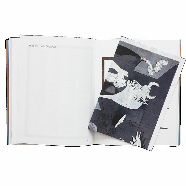 Sophie Calle - Picalso