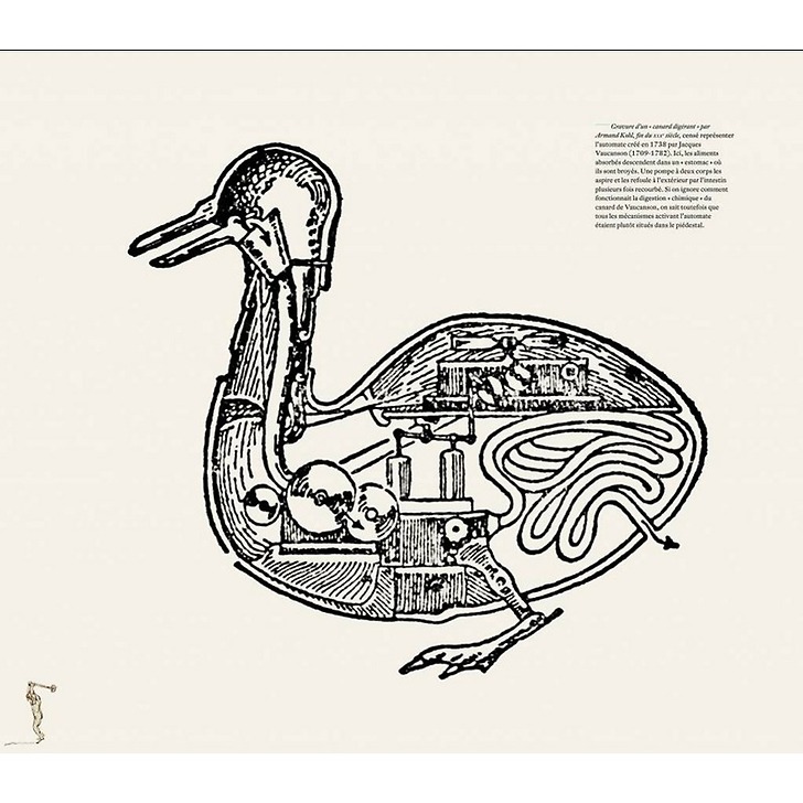 Catalogue d'exposition - Léonard de Vinci, la nature et l'invention