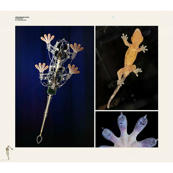 Exhibition catalogue - Léonard de Vinci, la nature et l'invention