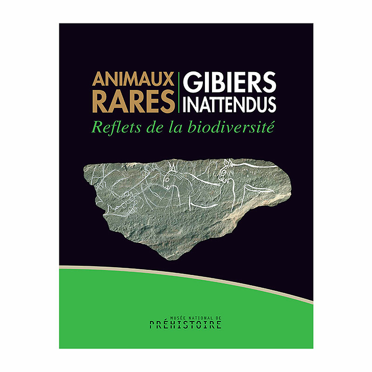 Animaux rares, gibiers inattendus - Reflets de la Biodiversité - Catalogue d'exposition