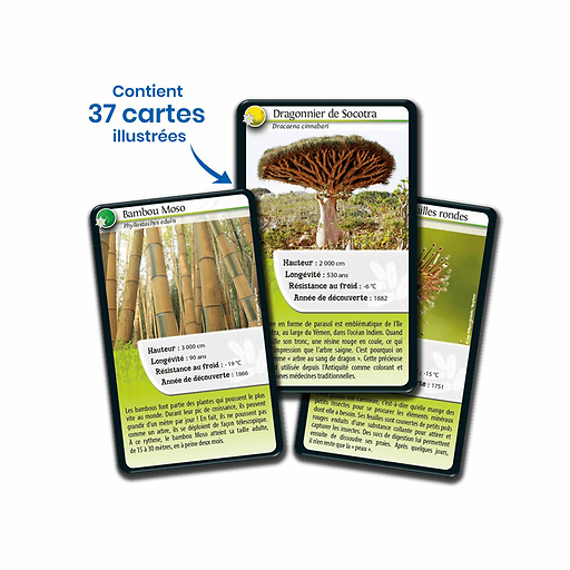 Playing cards Nature challenge - Plant Superpowers - Bioviva