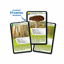 Playing cards Nature challenge - Plant Superpowers - Bioviva
