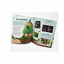 Kit collector 3-7 ans La forêt - Pandacraft