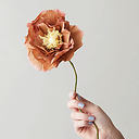 Paper flower Poppy - Dark ochre