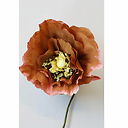 Fleur en papier Coquelicot - Ocre foncé