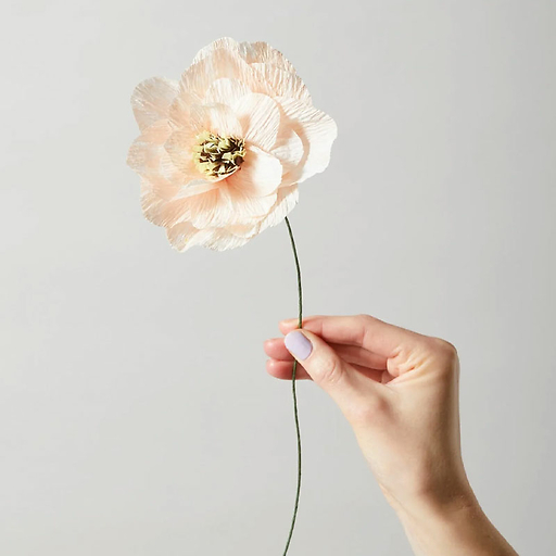 Paper flower Poppy - Nude