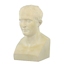 Bust of Napoleon Ist