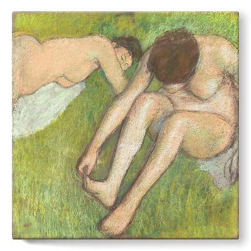 Two Bathers on the Grass (stretched canvas)