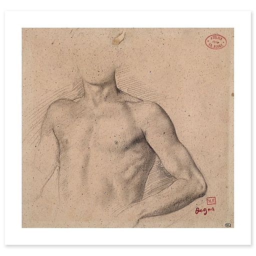 Bust of a naked young man (canvas without frame)