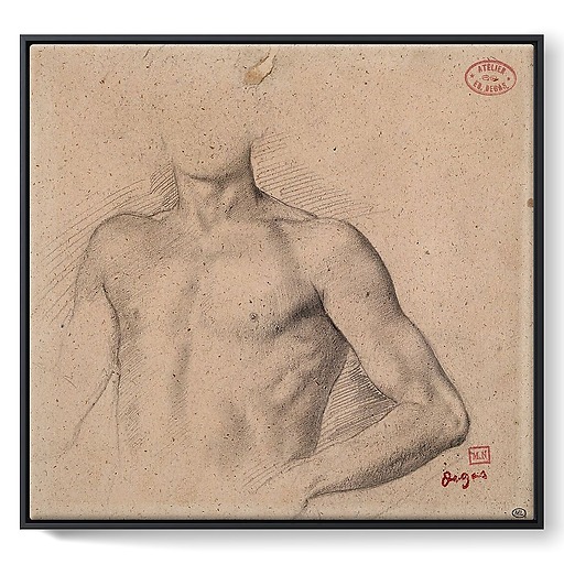 Bust of a naked young man (framed canvas)