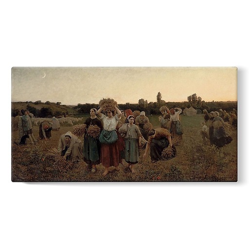 Calling in the Gleaners (stretched canvas)