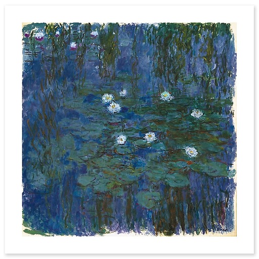 Blue water lilies (canvas without frame)