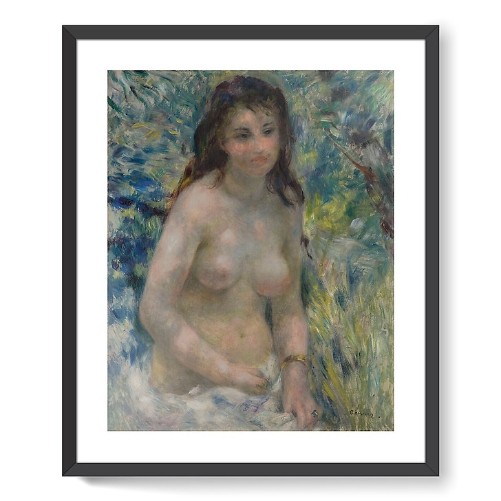 Study Torso Sunlight Effect (framed art prints)