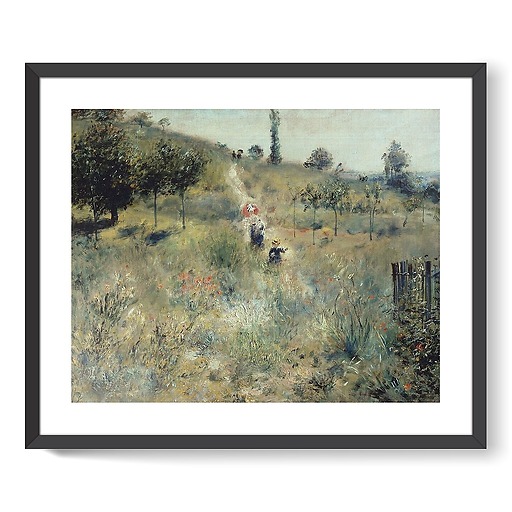 Rising way in the high grass (framed art prints)