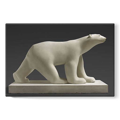 White bear (stretched canvas)