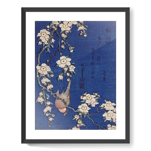 Bouvreuil et cerisier pleureur en fleur (affiches d'art encadrées)