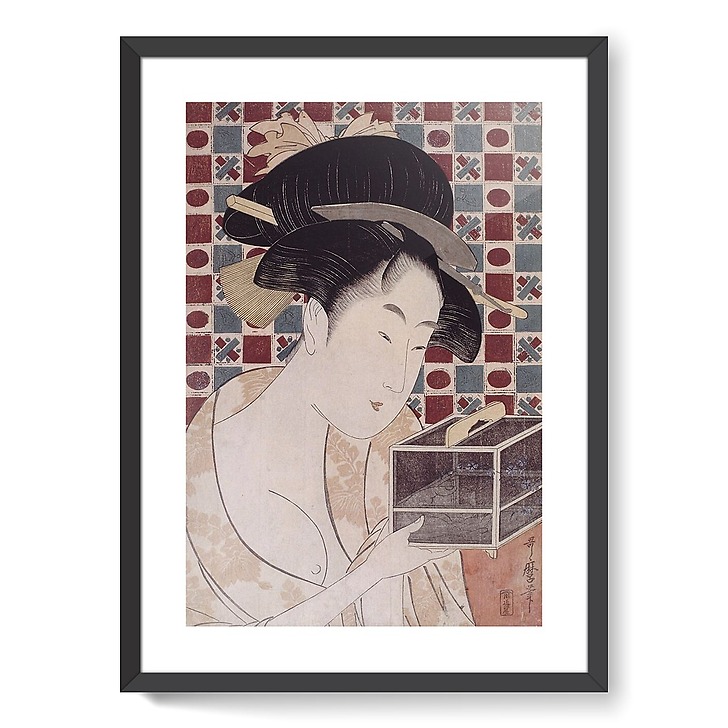 Insect cage (framed art prints)