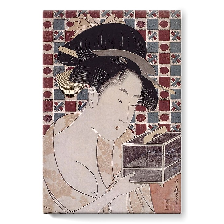 La cage à insectes (toiles sur châssis)