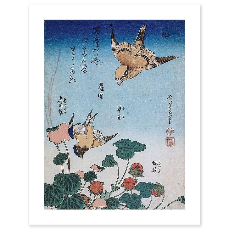 Shrike and Bluebird with Begonia and Wild Strawberry (art prints)