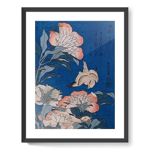 Peonies and Canary (framed art prints)