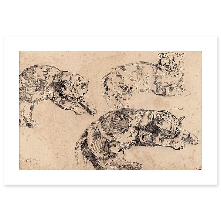 Three Studies of Cats (art prints)