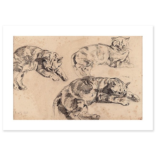 Three Studies of Cats (canvas without frame)
