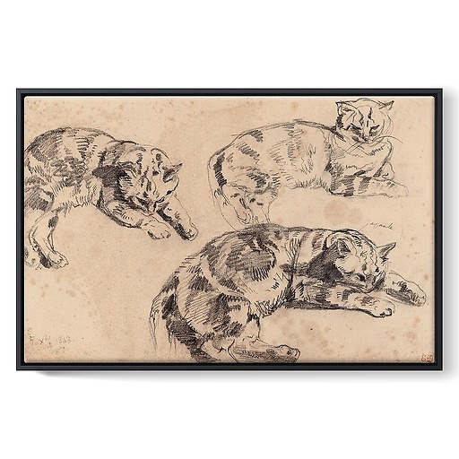 Three Studies of Cats (framed canvas)