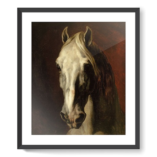 The head of white horse (framed art prints)