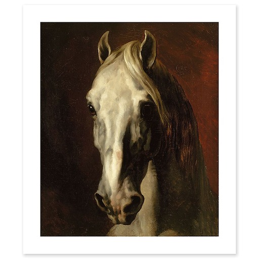 The head of white horse (canvas without frame)