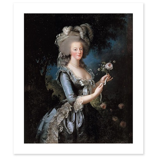 Marie-Antoinette with the Rose (art prints)