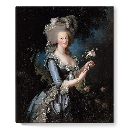 Marie-Antoinette with the Rose (stretched canvas)