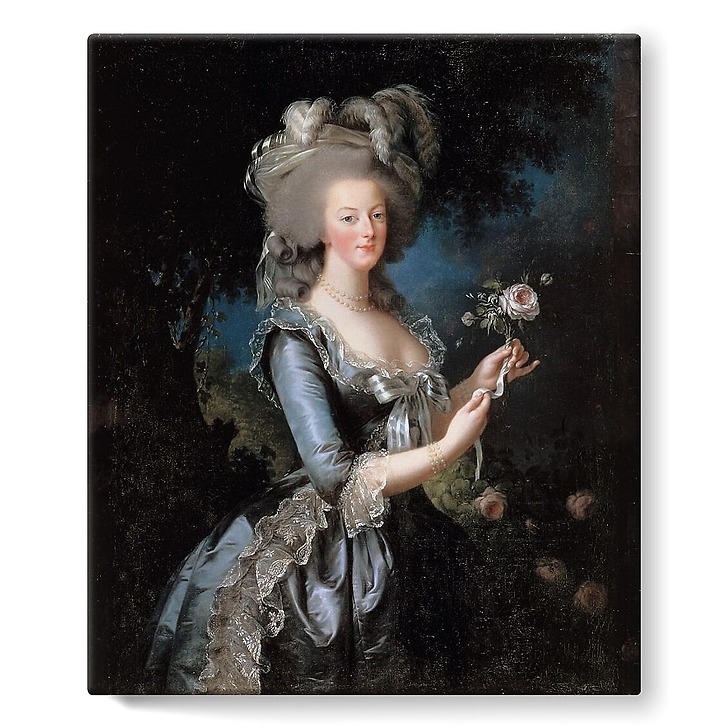 Marie-Antoinette with the Rose (stretched canvas)