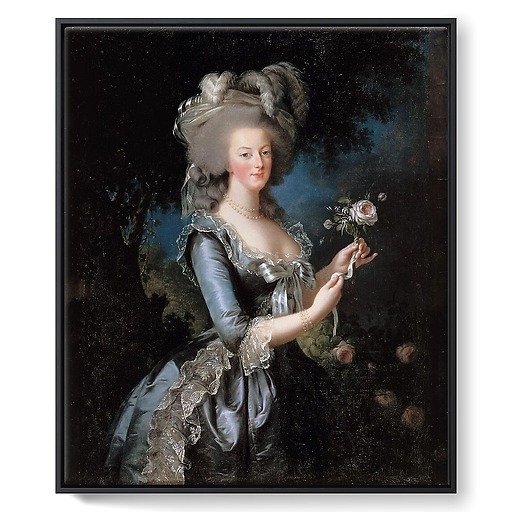 Marie-Antoinette with the Rose (framed canvas)