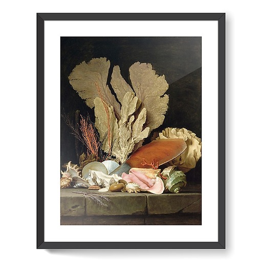 Still Life with Sea Plumes, Lithophytes and Shells (framed art prints)