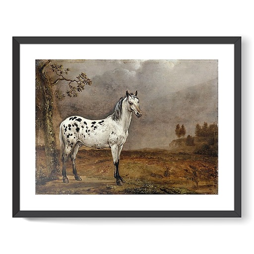 The Piebald Horse (framed art prints)