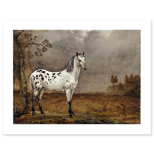 The Piebald Horse (canvas without frame)