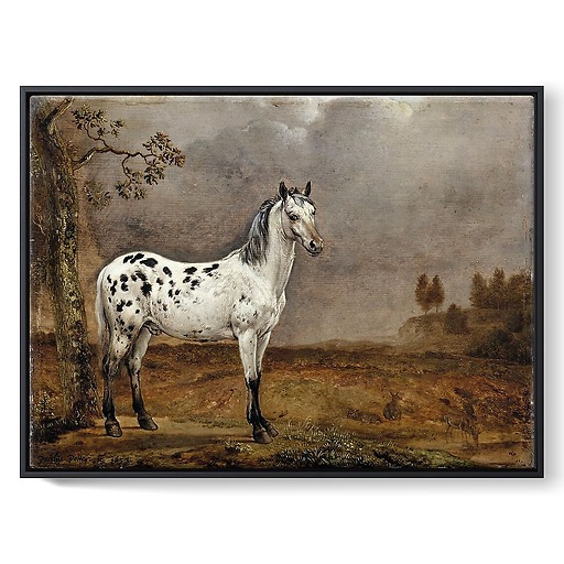 The Piebald Horse (framed canvas)