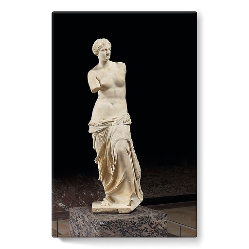 Aphrodite called Venus de Milo (stretched canvas)