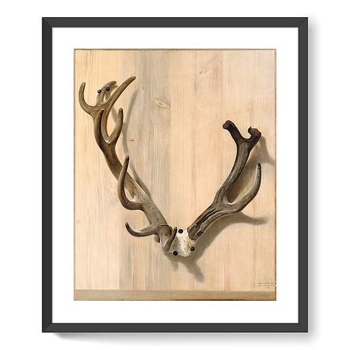 Antler of a deer attacked at the Haute-Queue in Compiègne (framed art prints)