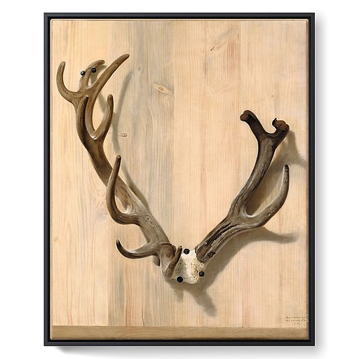 Antler of a deer attacked at the Haute-Queue in Compiègne (framed canvas)
