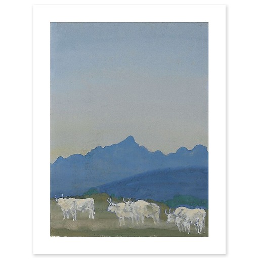 Trois couples de taureaux blancs sur fond de montagnes (affiches d'art)