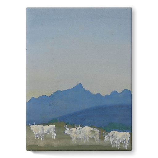 Trois couples de taureaux blancs sur fond de montagnes (toiles sur châssis)