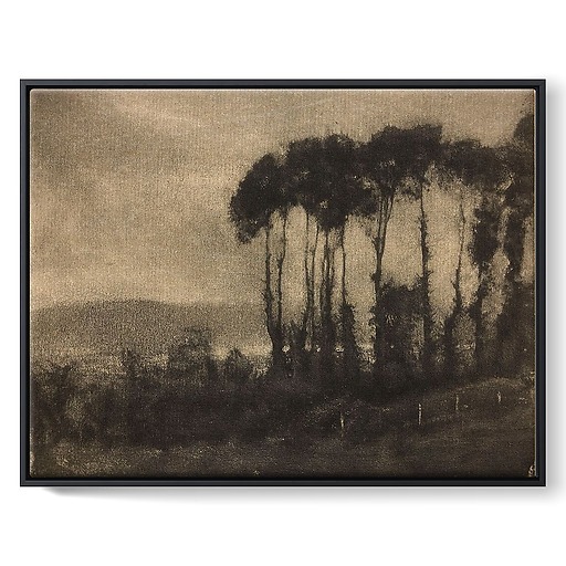 Toucques Valley (framed canvas)